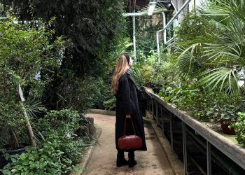 Palmiarnia Poznańska