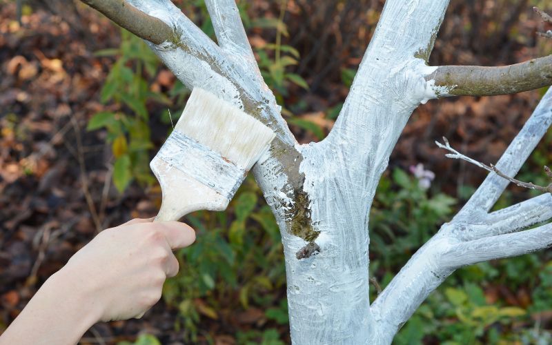 Zdjęcie przedstawia rękę, która trzyma pędzel przy korze drzewa