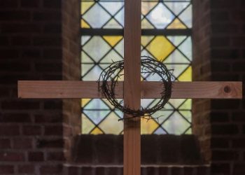 Niedziela Palmowa 2026 w Poznaniu. Kiedy wypada, gdzie będą główne obchody i co oznacza ten dzień