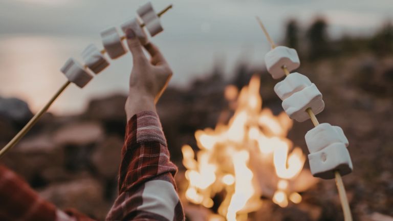 Gdzie na ognisko i grilla w Poznaniu