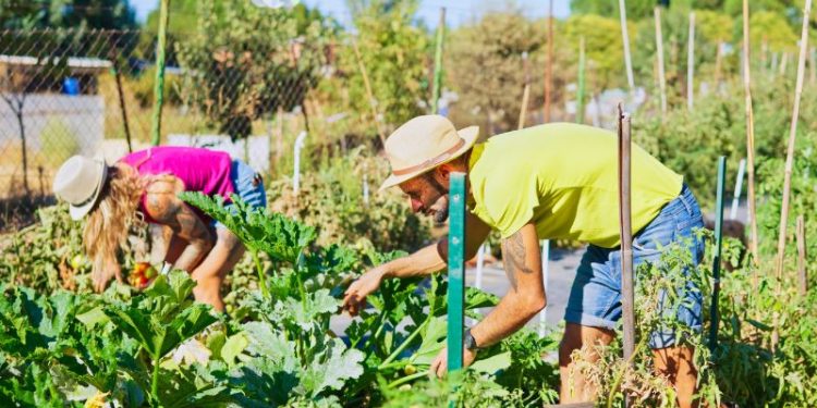 Maj w ogrodzie. Co robić, żeby nie stracić sezonu?