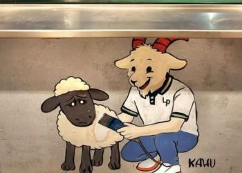 Koziołek Lecha dotarł na Wyspy Owcze. Kawu zostawił tam poznański ślad