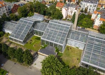 modernizacja-palmiarni-poznan