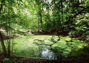 rezerwat-meteoryt-zwiedzanie