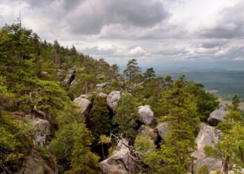Gdzie pojechać na jesienny urlop? Pomysły na ciepło, góry i city break